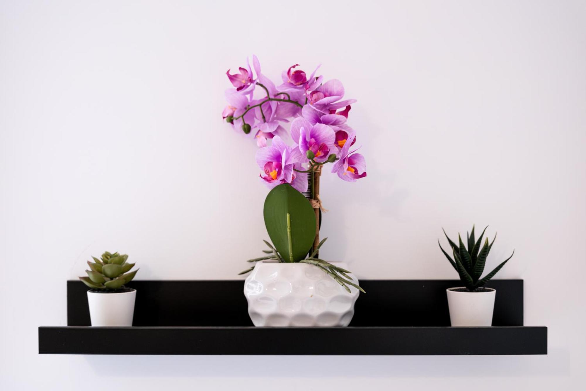 Soho Downtown Apartment Budapest Esterno foto